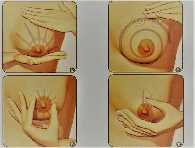 Göğüs Büyütme Masaj Teknikleri